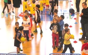 585008ce94141_bassens1310122016.jpg