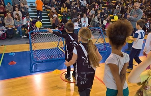 58500e65eeb83_bassens1610122016.jpg