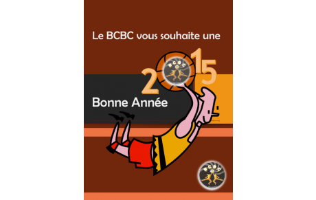 Bonne Année 2015 ! les matchs reprennent, tous à vos basket ! week-end du 10 et 11 janvier