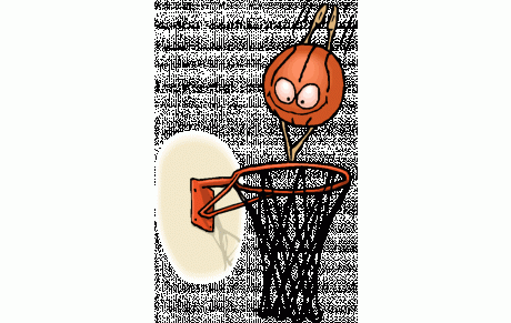 STAGE D'HIVER POUR L'ECOLE DE BASKET